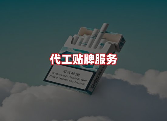 专业团队